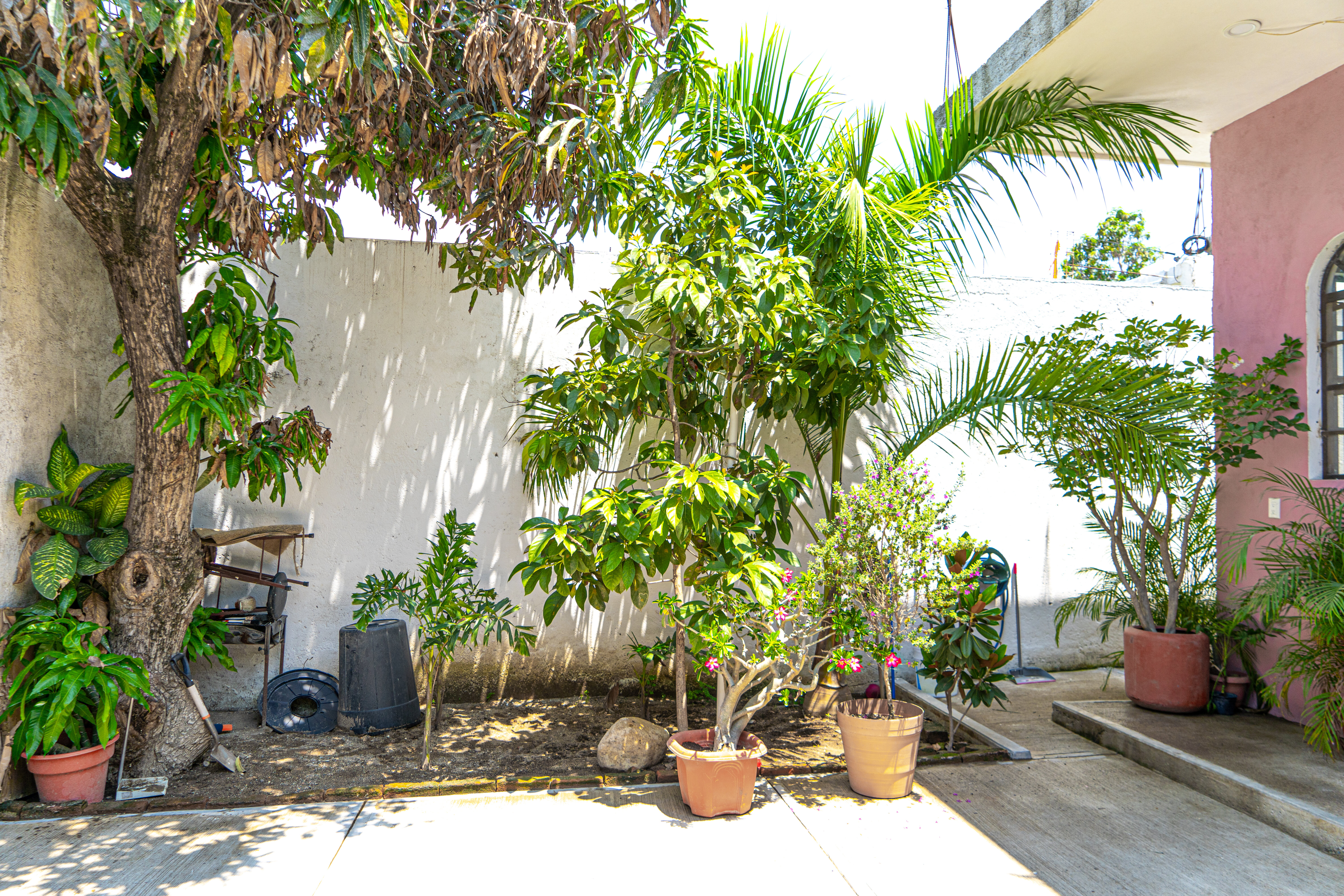 Casa Noruega Courtyard